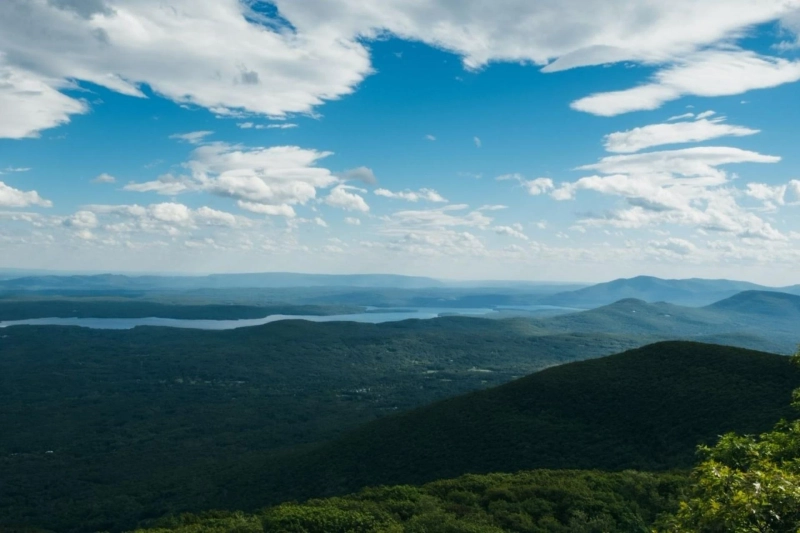 🏠 Meet Kunzang Realty Group LLC