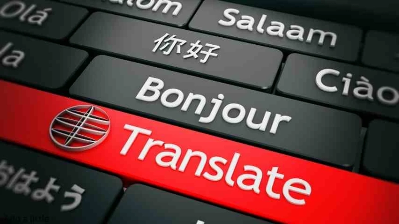 Who Is the Top USCIS Translation Service Provider?