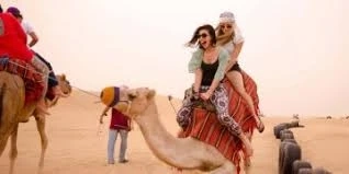 WayTo move the select the Typrs of desert safari Dubai
