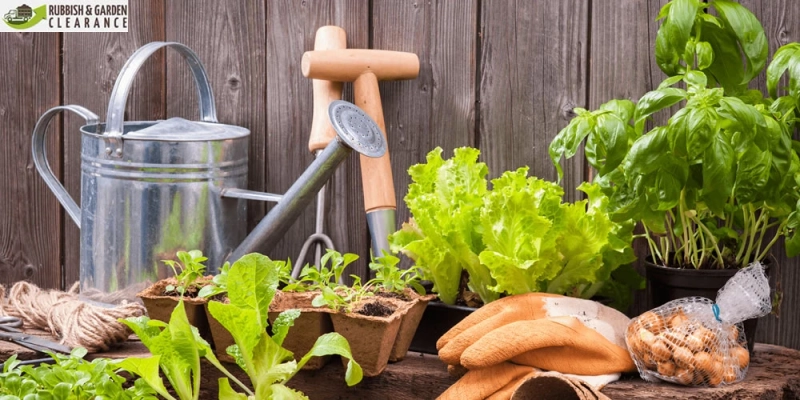 Shape Up Your Garden with Our Professional Garden Clearance Services in Croydon