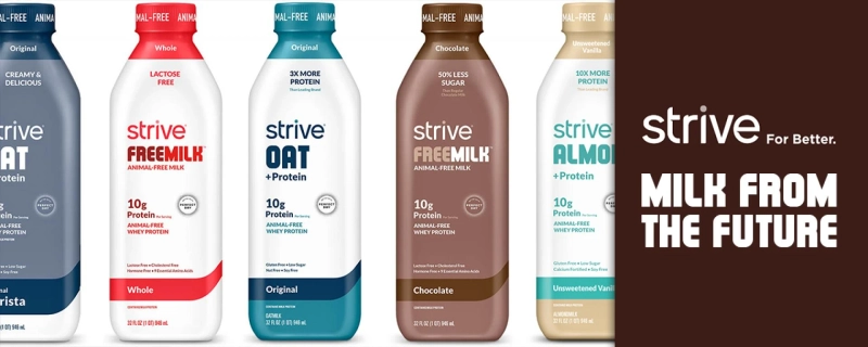 How to Prepare milk without a cow?