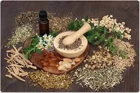 Personal Care & Cosmetics Category to Lead India Herbal Products Market till 2024