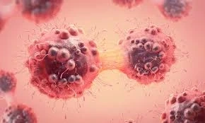 Mastering Breast Cancer Harnessing Hormonal Therapy with Exemestane for Lasting Victory