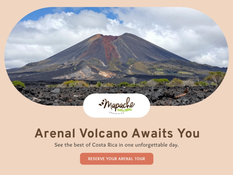 Explore the Natural Wonders of Manuel Antonio National Park with Mapache Tours  If you're dreaming of an unforgettable tropical getaway, Manuel Antoni