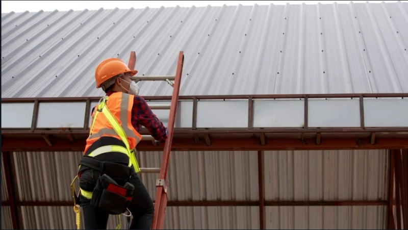 Save Your Shingles: How a Roof Cleaning Contractor Can Prevent Expensive Repairs