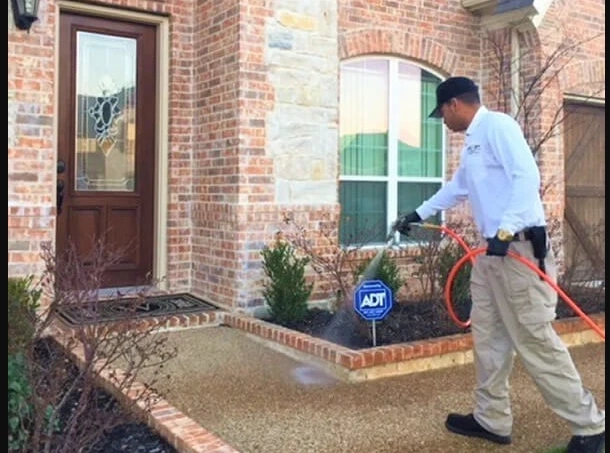 7 Benefits of Hiring a Pest Control Company for Your House