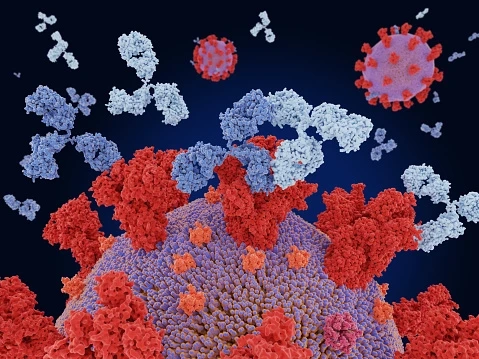 Immunoglobulin Market - Global Sales, Revenue, Price and Gross Margin Forecast To 2030