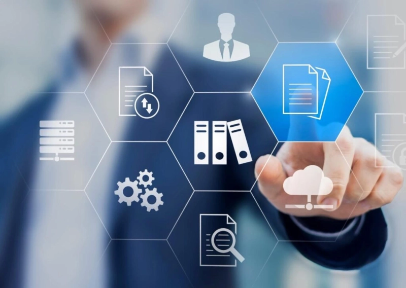What is Information Governance Program Development and records Consultant?