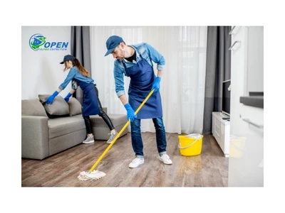 HOUSE CLEANING PROFESSIONALS: CREATING CLEAN AND HEALTHY HOMES