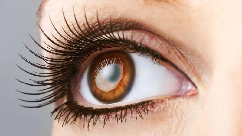 Top-notch things to notice about eyelash serum forever