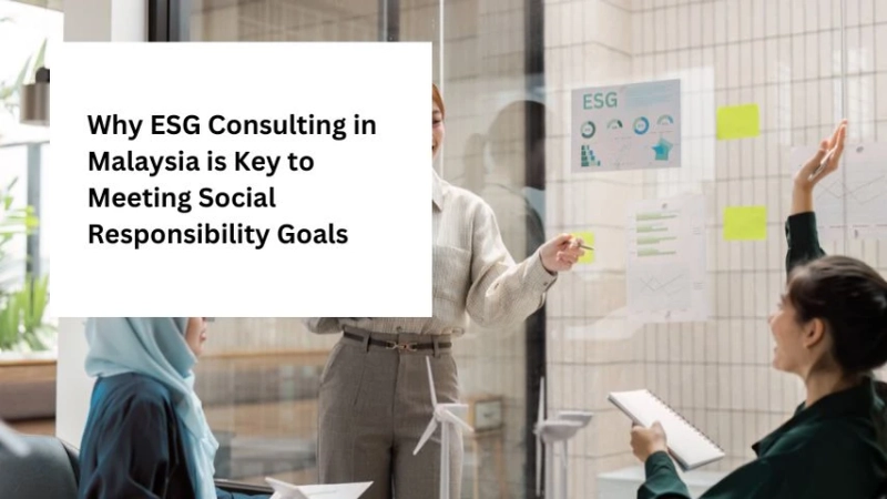 Why ESG Consulting in Malaysia is Key to Meeting Social Responsibility Goals