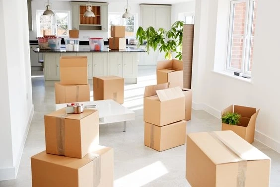 Benefits of Hiring Professional Movers in San Diego