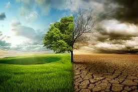 Practice These Climate Friendly Behaviours to Protect Our Planet