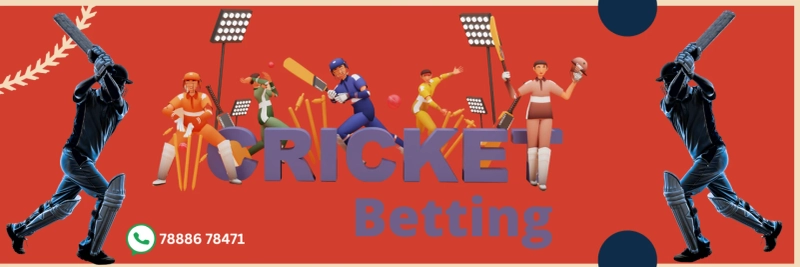 Gold 365 Cricket: Revolutionizing How Fans Experience the Game