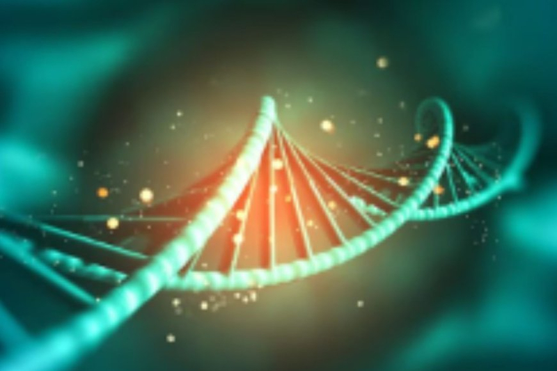 From Cells to Insights: Harnessing the Potential of scATAC Data Analysis