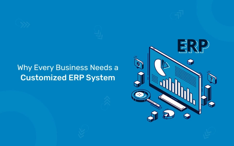 Why a customized ERP system is important for every business