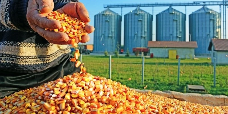 How agro-processing technology helps in the growth of Agriculture Industry?