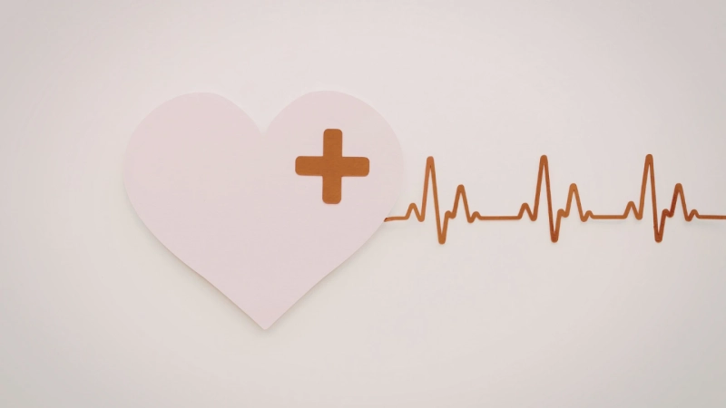 The Heart: How It Works and Why It Matters