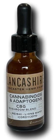 Where to Purchase Double Extraction Mushroom Tincture | Lancashire Hemp