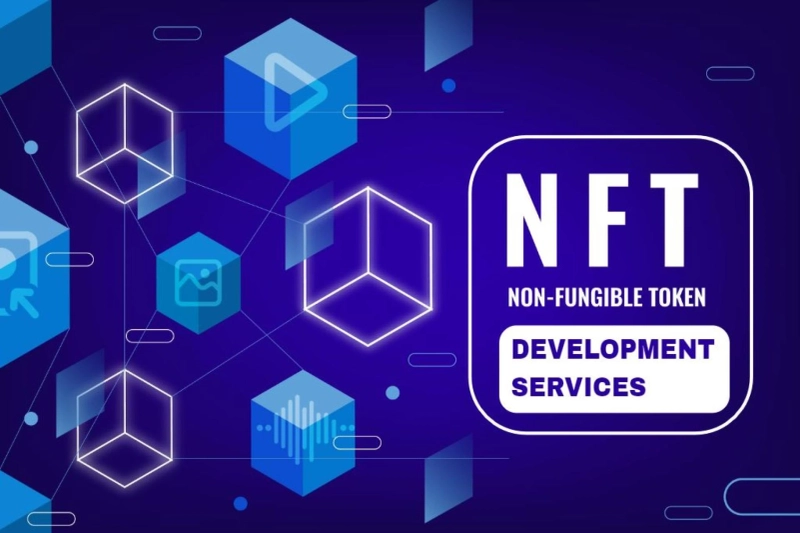 Build a Top-Tier NFT Platform with Our NFT Development Services