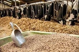 Trace Minerals for Animal Feed Market Research Provides An In-Depth Analysis On The Future Growth