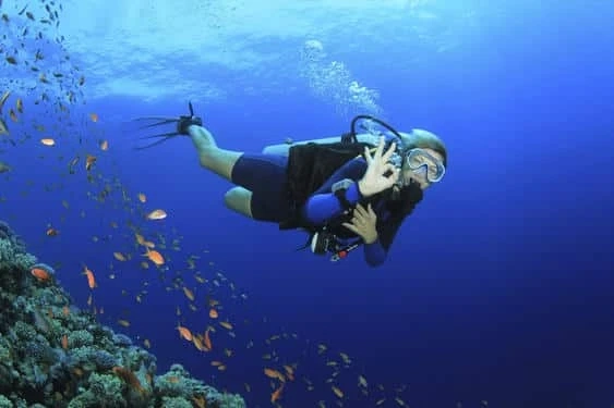 Explore The Underwater World With Petro Divers: Best Divers In Mallorca For You