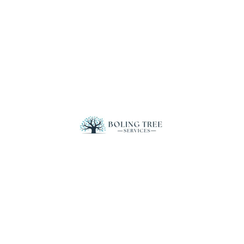 Why Tree And Shrub Pruning Service Prevents Yard Chaos And Hazards?
