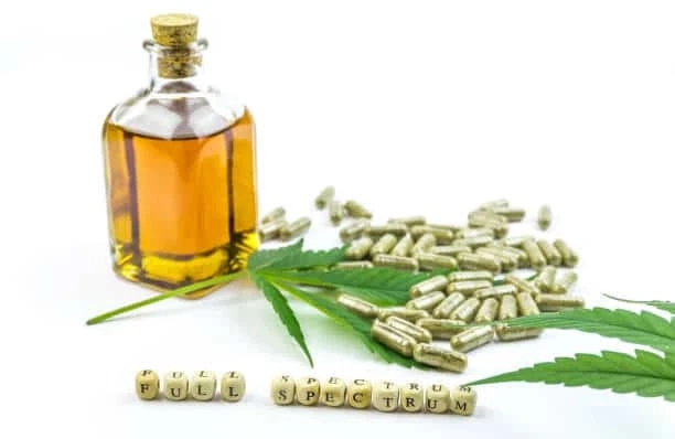 How to Choose the Right CBD Hemp Oil for Your Needs?