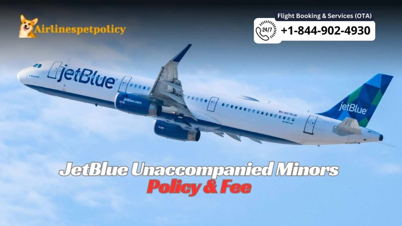 Does JetBlue do unaccompanied minors? | Policy & Fee