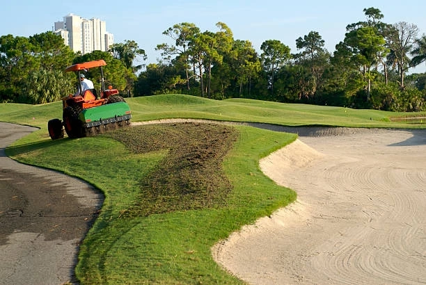 Commercial landscape maintenance services: essential support for modern infrastructure construction