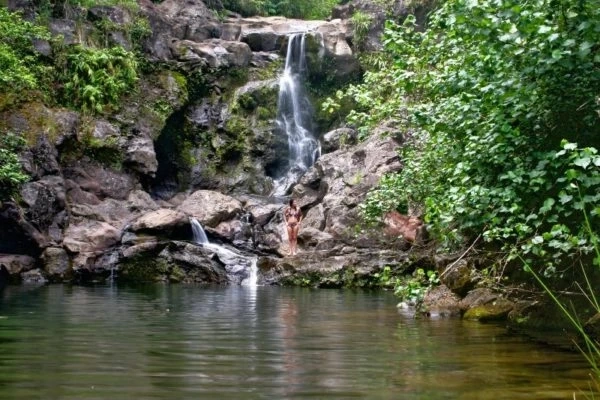 A Complete Guide On Road To Hana