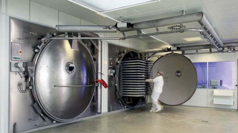 Freeze-Drying Equipment Market Growth, Share, and Forecast 2025-2033