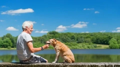 Canine arthritis causes inflammation in the joints of the elbows, hips, knees, spine and shoulders in dogs