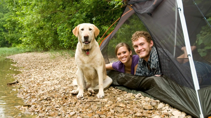 Camping with Your Dog: The Ultimate Guide for Pet Owners