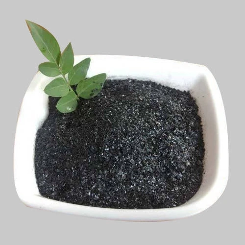 Everything To Know About Humic Acids