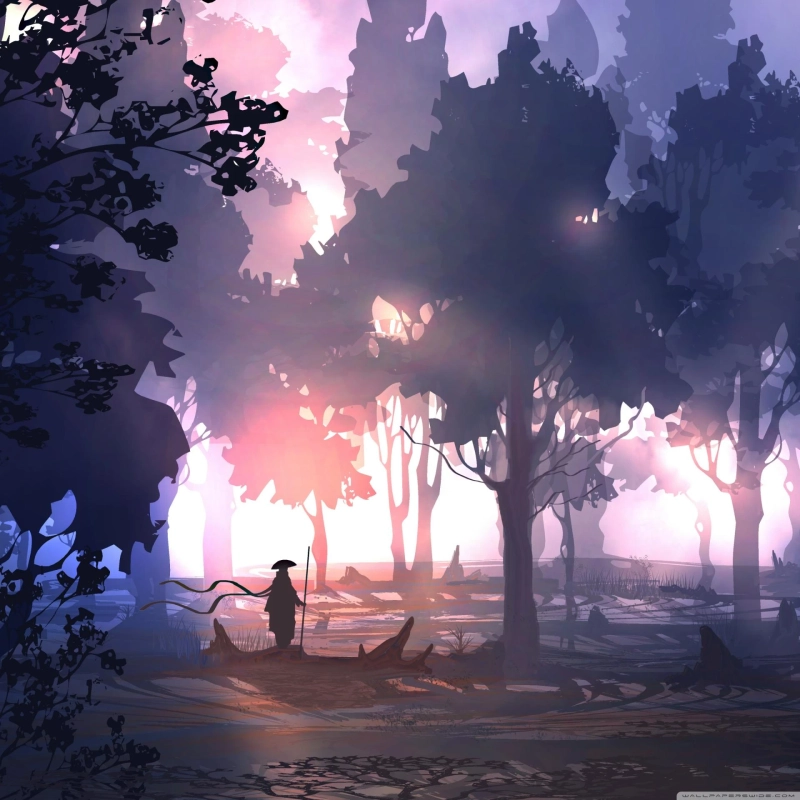 Horyzonty współpracy transgranicznej