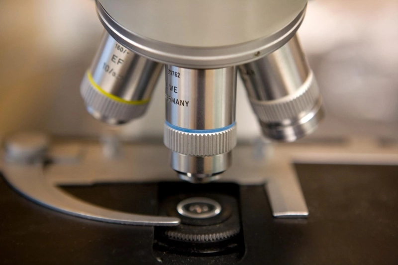 Acoustic Microscopy Market: Size, Share, Trends and Forecasts 2031