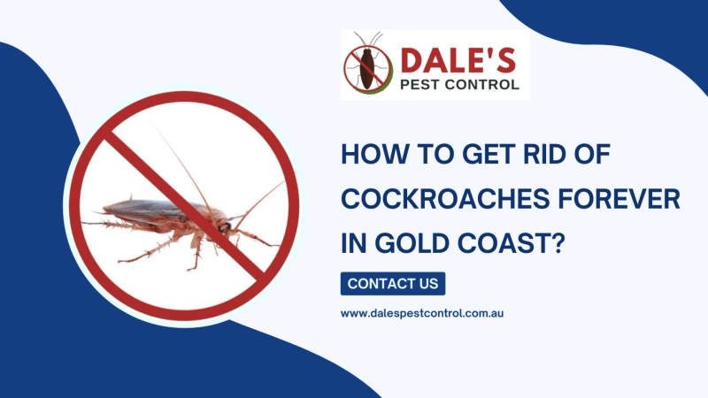How to Get Rid of Cockroaches Forever in Gold Coast?