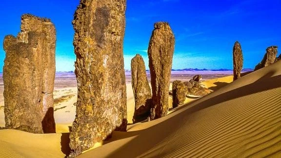 The Role of Microloans in Growing Desert-Based Eco-Tours