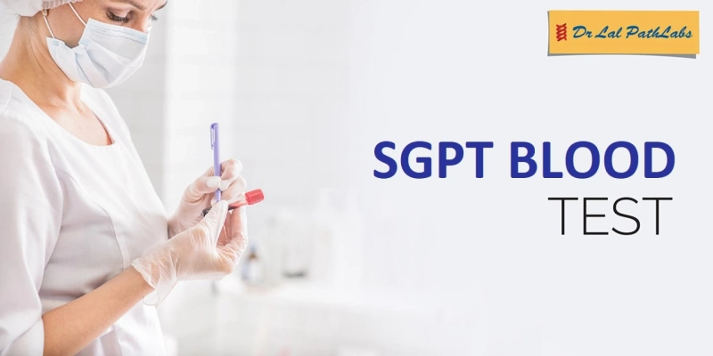 What Is SGPT Blood Test's Normal Level? 