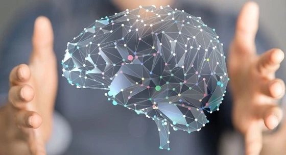 Neuromarketing Technology Market Insights Shared in Detailed Report