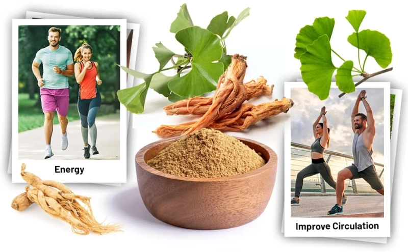 The Benefits of Ginkgo Biloba and Ginseng: A Comprehensive Overview