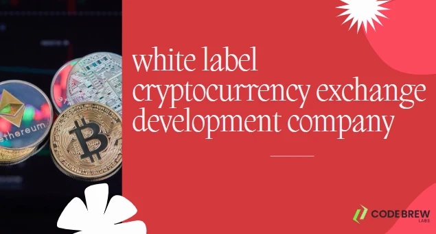 Launch Your Crypto Empire: Why a White Label Cryptocurrency Exchange Development Company is Your Best Bet