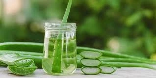 Aloe Vera Extract Market Share, Trends, Growth, Opportunities