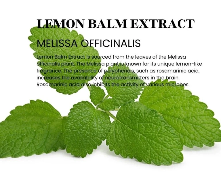 Lemon Balm Extract Melissa Officinalis: Pharmacological