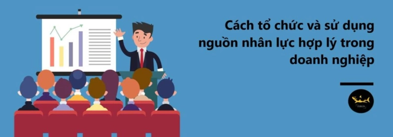 Doanh Nghiệp Ở Giai Đọan Nào Thì Cần Hoạch Định Nguồn Nhân Lực?