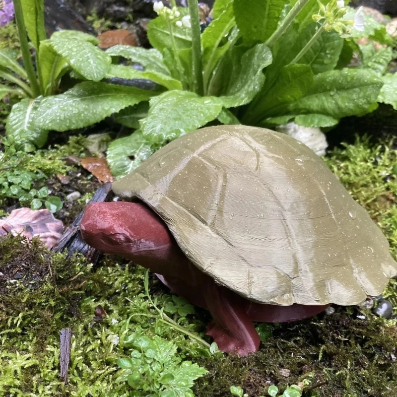 Eco-Friendly Slug Traps for Home Gardens in Juneau, Alaska