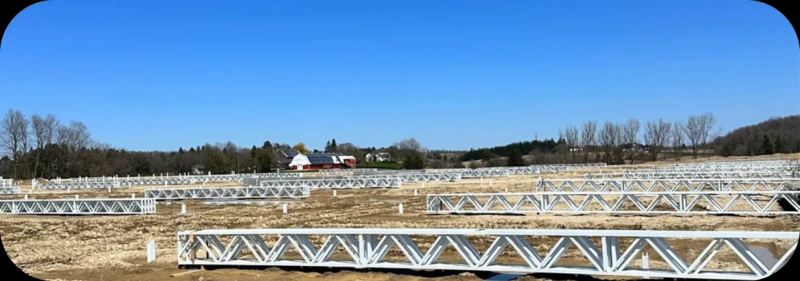 Greenhouse Gold: How Kinghaven Farms’ Lettuce is Set to Change the Salad Game