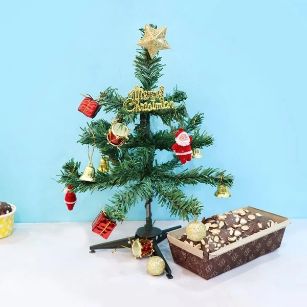 Spread A Positive Vibe Through Pretty Christmas Flower