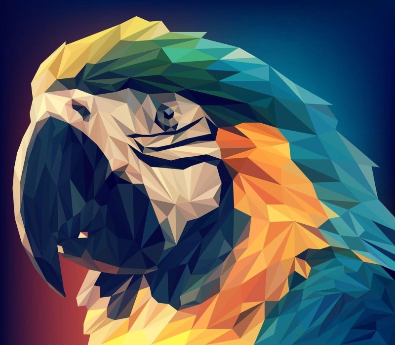 Features of Graphic Designing Institute in Noida